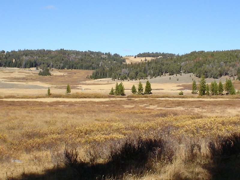 AR07-Wyoming Elk Hunt 007